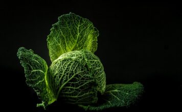 Jak sprawdzić czy w kapuście kiszonej jest ocet?