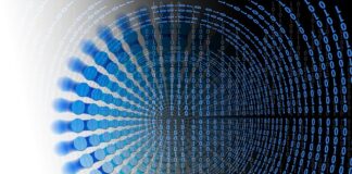 Kto tworzy bazy danych?