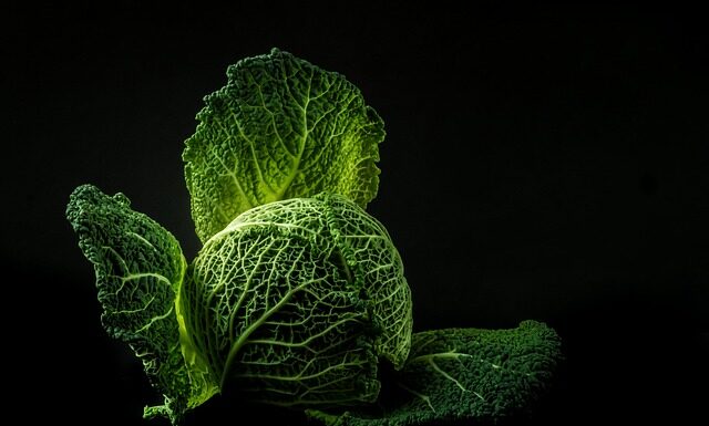 Dlaczego kapusta kiszona zmienia kolor? Dlaczego kapusta kiszona zmienia kolor?