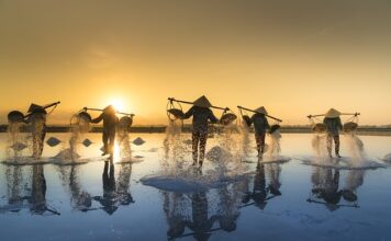 Czy sól peklowa nadaje się do kiszenia ogórków? Czy sól peklowa nadaje się do kiszenia ogórków?