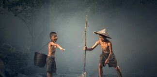 Czy w Bałtyku są groźne ryby?