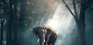 Czy w Tajlandii jest zima?