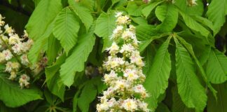 Czy można pracować w banku bez matury? Czy można pracować w banku bez matury?