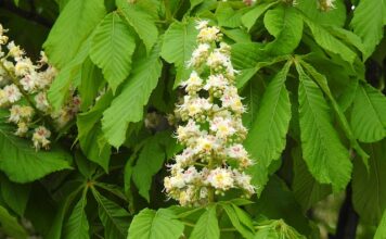 Czy można pracować w banku bez matury? Czy można pracować w banku bez matury?