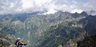 Jakie są rośliny w Tatrach? Jakie są rośliny w Tatrach?