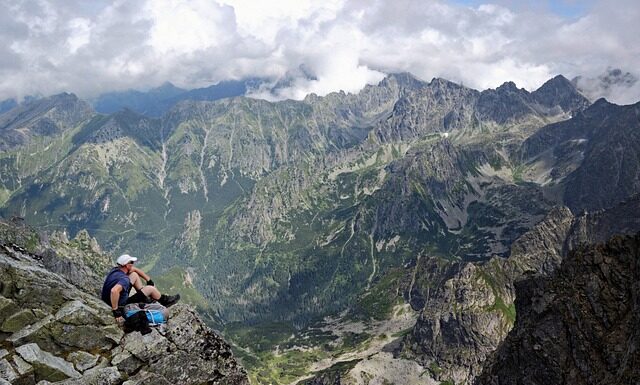 Jakie są rośliny w Tatrach?