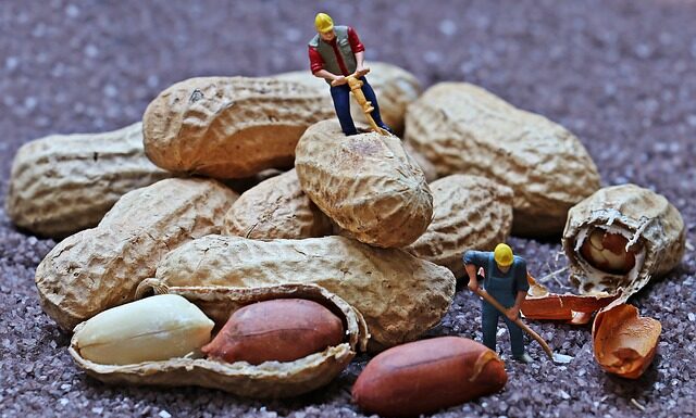 Gdzie pracują starzy ludzie? Gdzie pracują starzy ludzie?