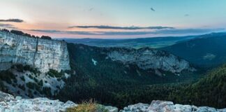 Kim chcesz zostać w przyszłości?